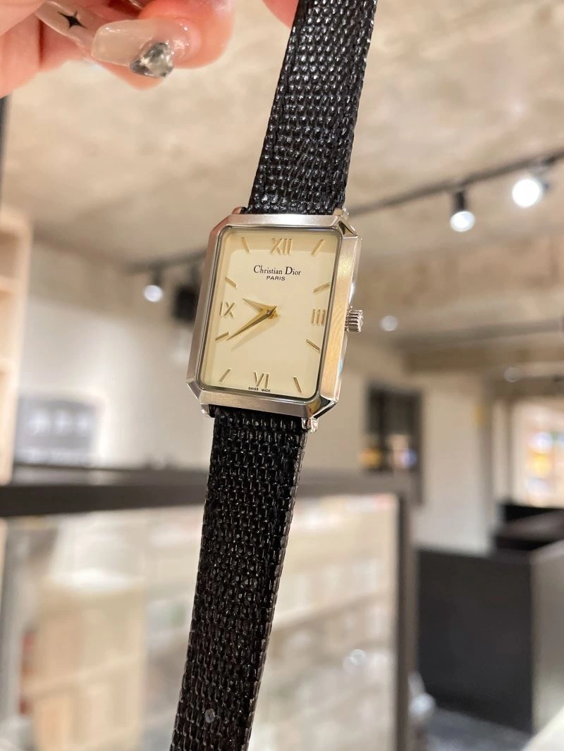 FastDry CHRISTIAN DIOR Watches 182042
