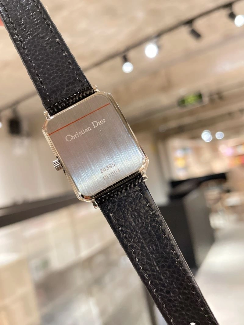 FastDry CHRISTIAN DIOR Watches 182042
