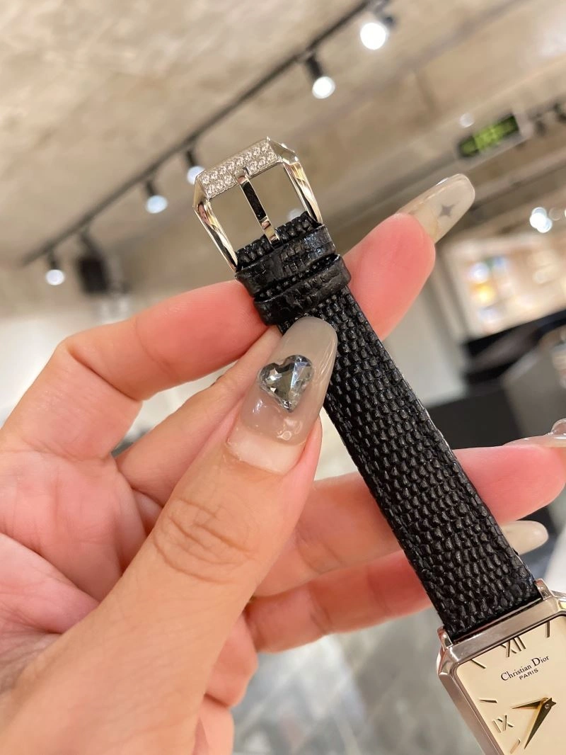 FastDry CHRISTIAN DIOR Watches 182042