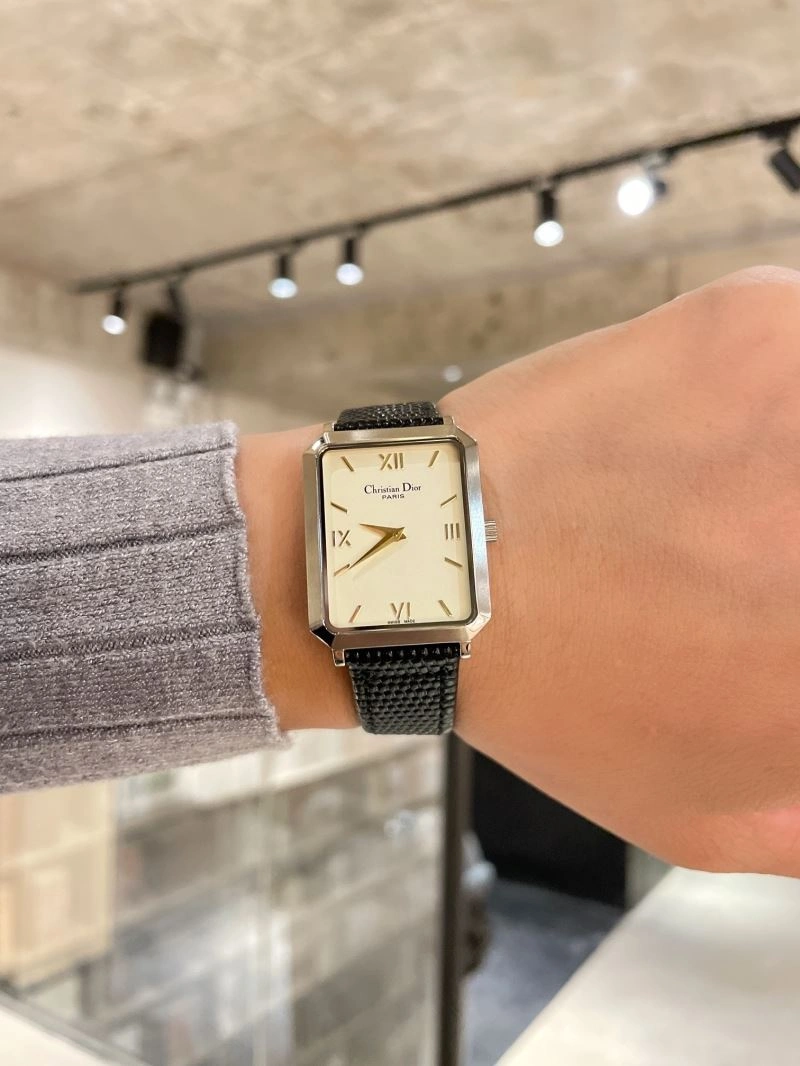 FastDry CHRISTIAN DIOR Watches 182042