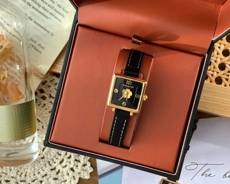 Comfortable COACH Watches 182111