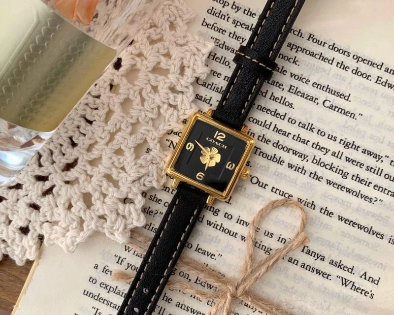 Comfortable COACH Watches 182111