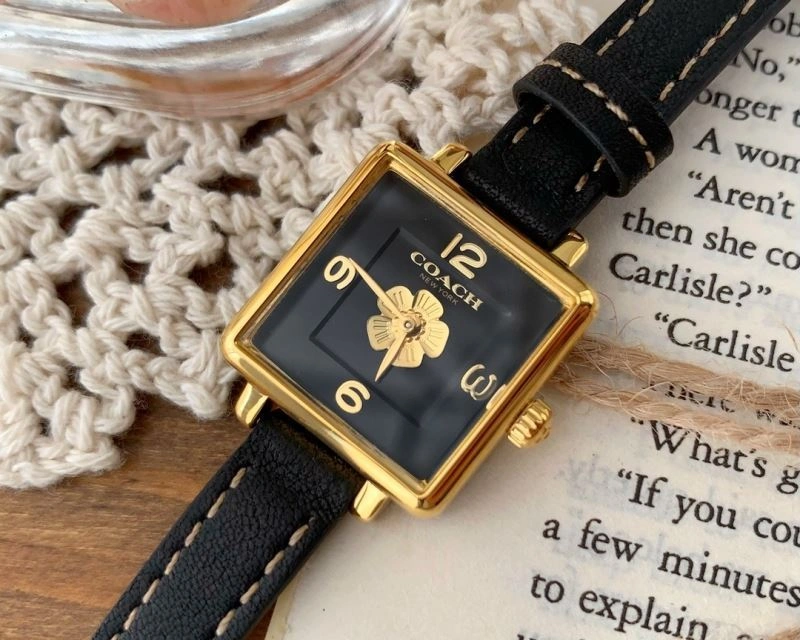 Comfortable COACH Watches 182111