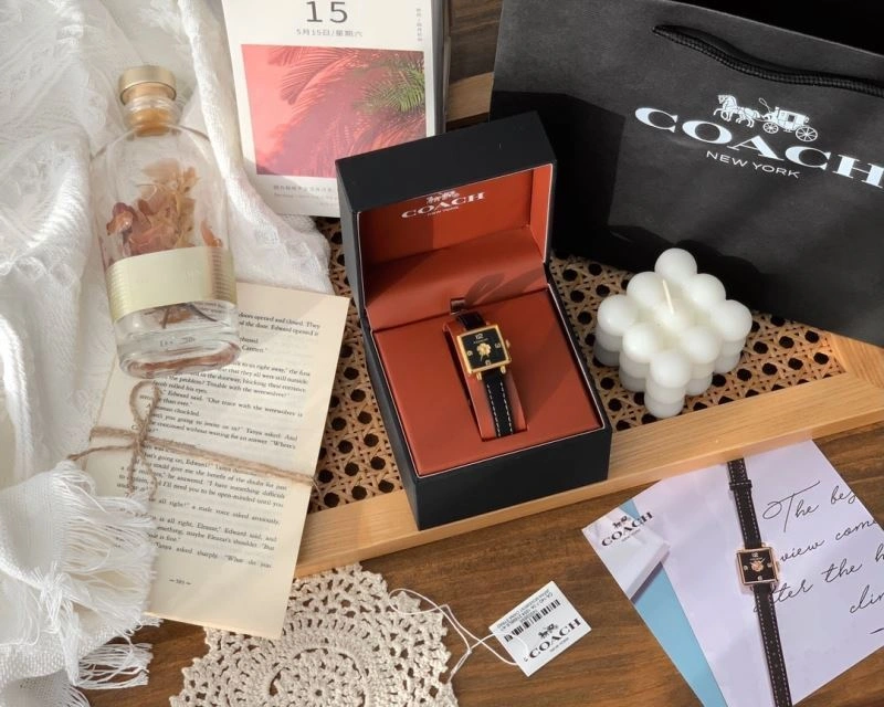 Comfortable COACH Watches 182111