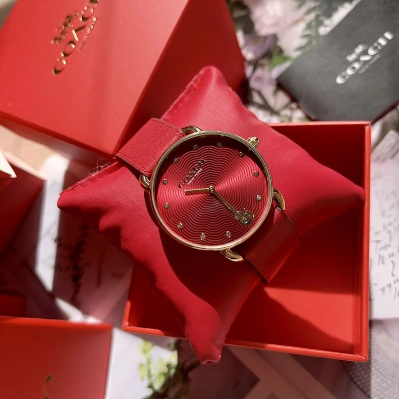 COACH Watches BestValue 182095