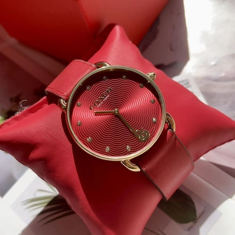 COACH Watches BestValue 182095