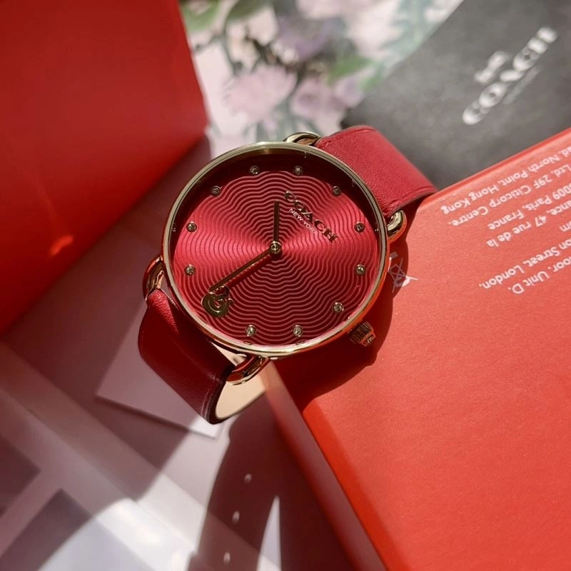 COACH Watches BestValue 182095