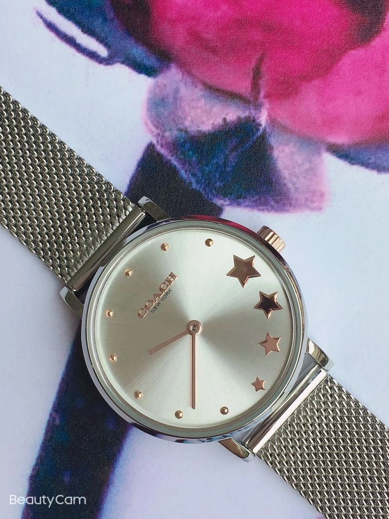 COACH Watches SmartChoice 182097