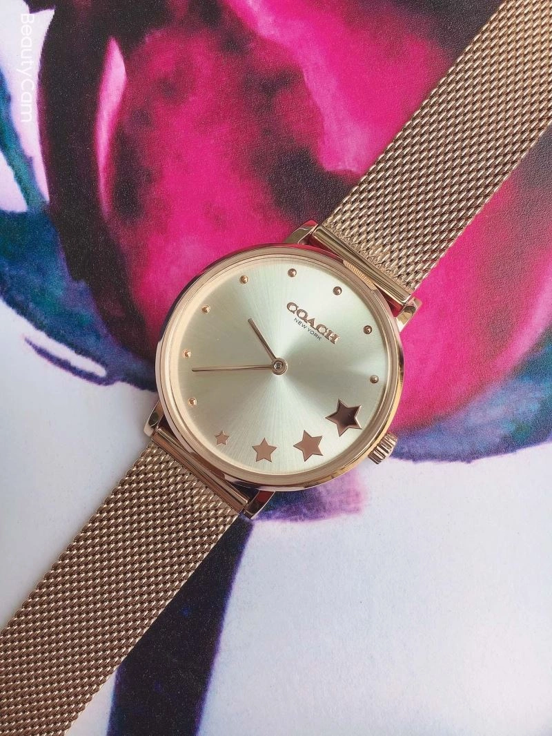 COACH Watches Flexible 182091