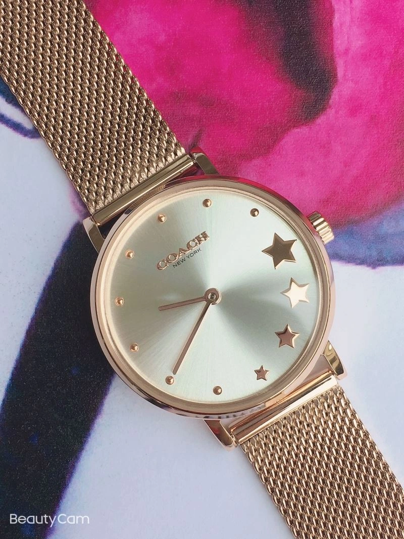 COACH Watches Flexible 182091