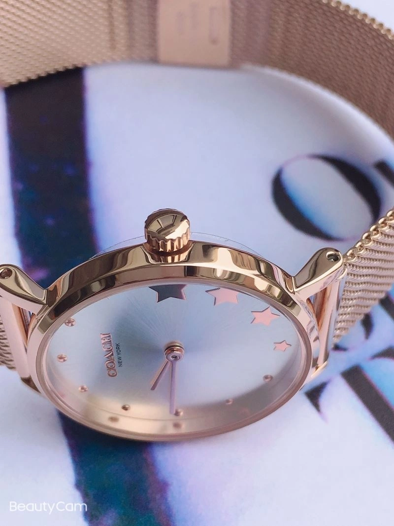 COACH Watches Flexible 182091