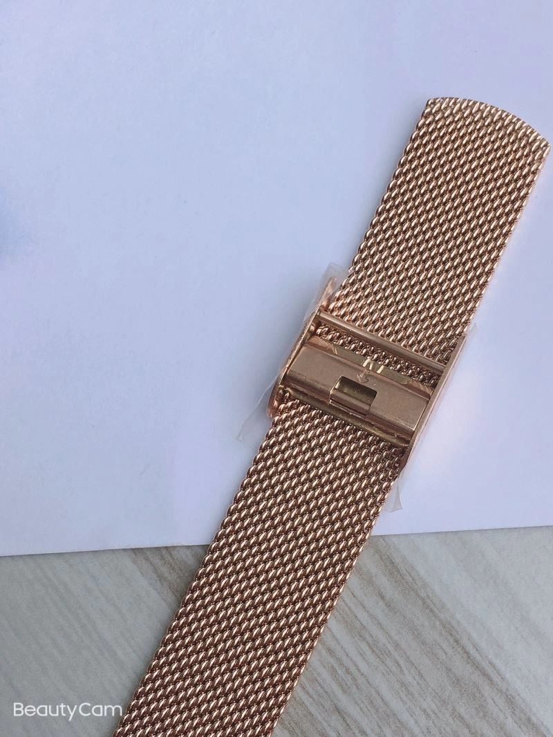 COACH Watches Flexible 182091