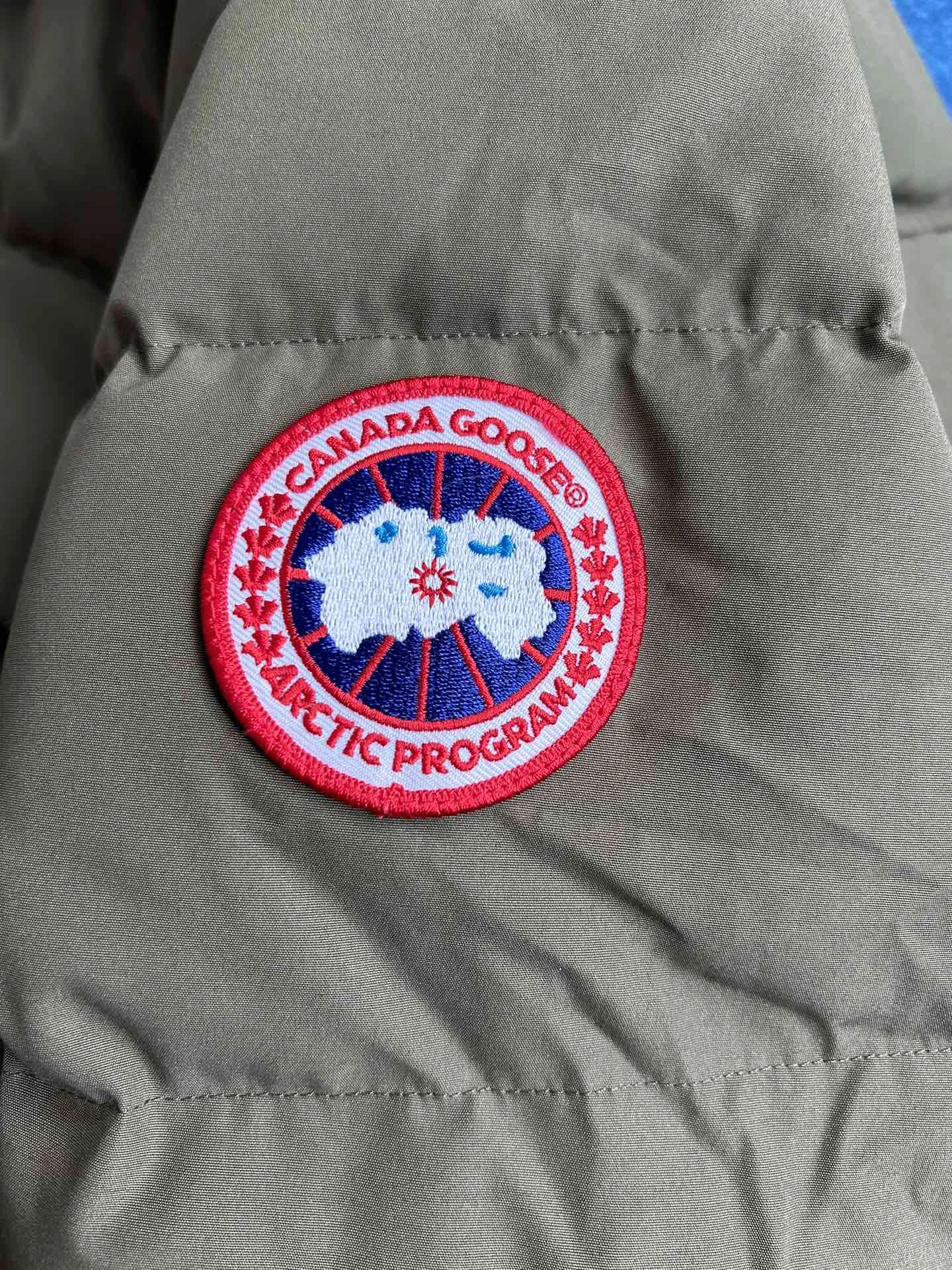 Canada Goose Down Jackets TechFriendly 106634