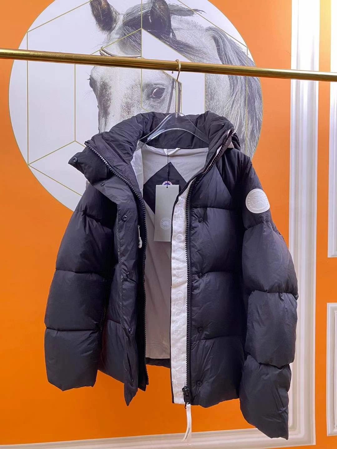 Canada Goose Down Jackets Casual 106649