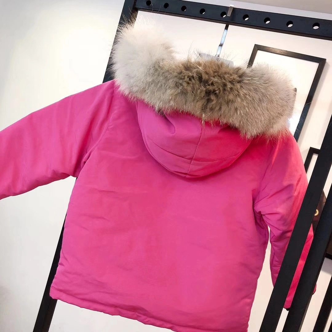 Canada Goose Down Jackets Sleek 106588