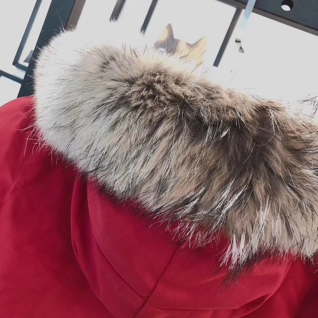 Canada Goose Down Jackets Popular 106550