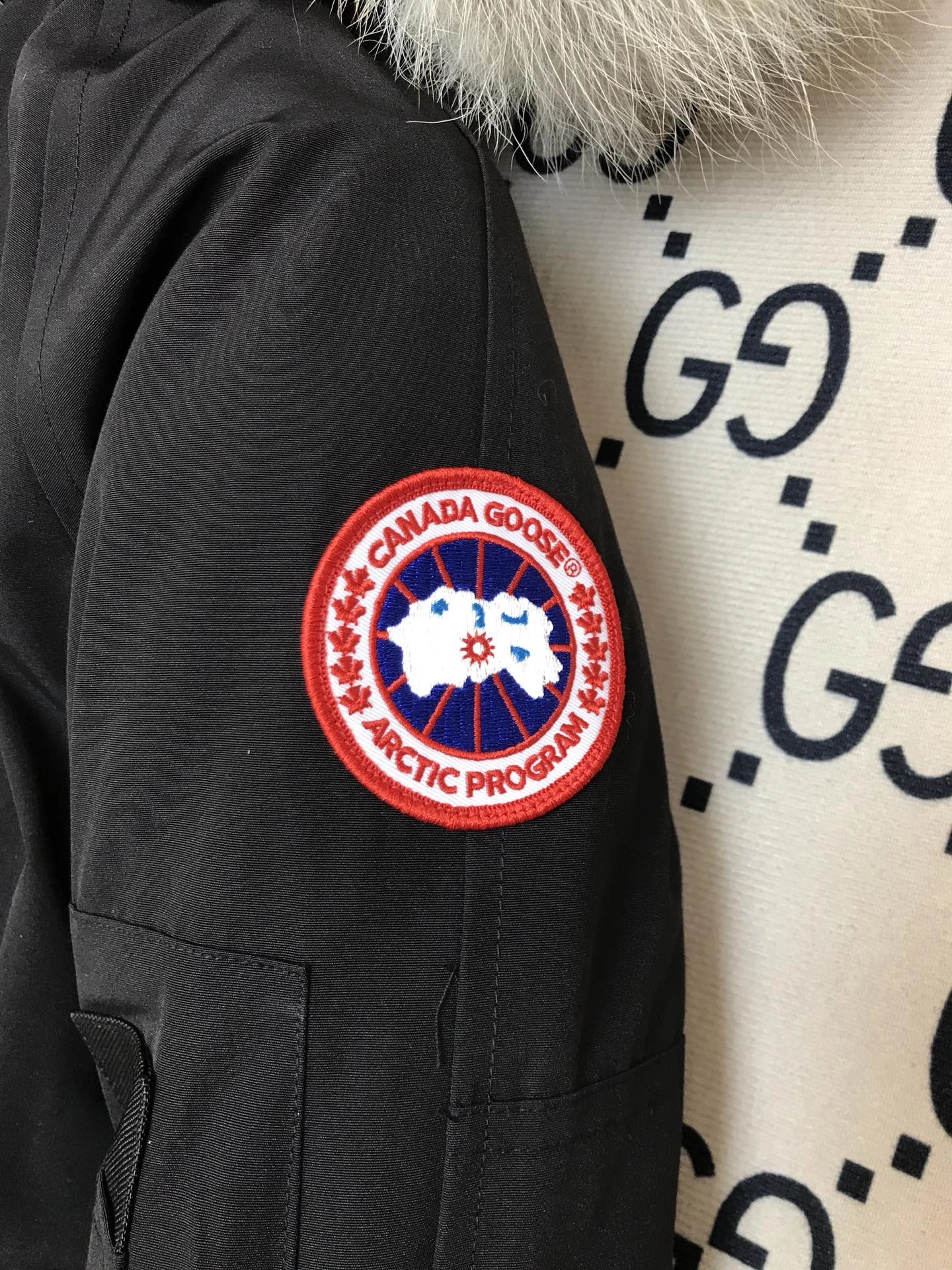 Canada Goose Down Jackets Minimalist 106502