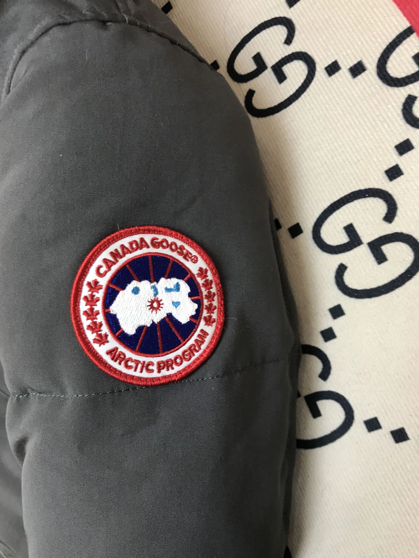 Vibrant Canada Goose Down Jackets 106499
