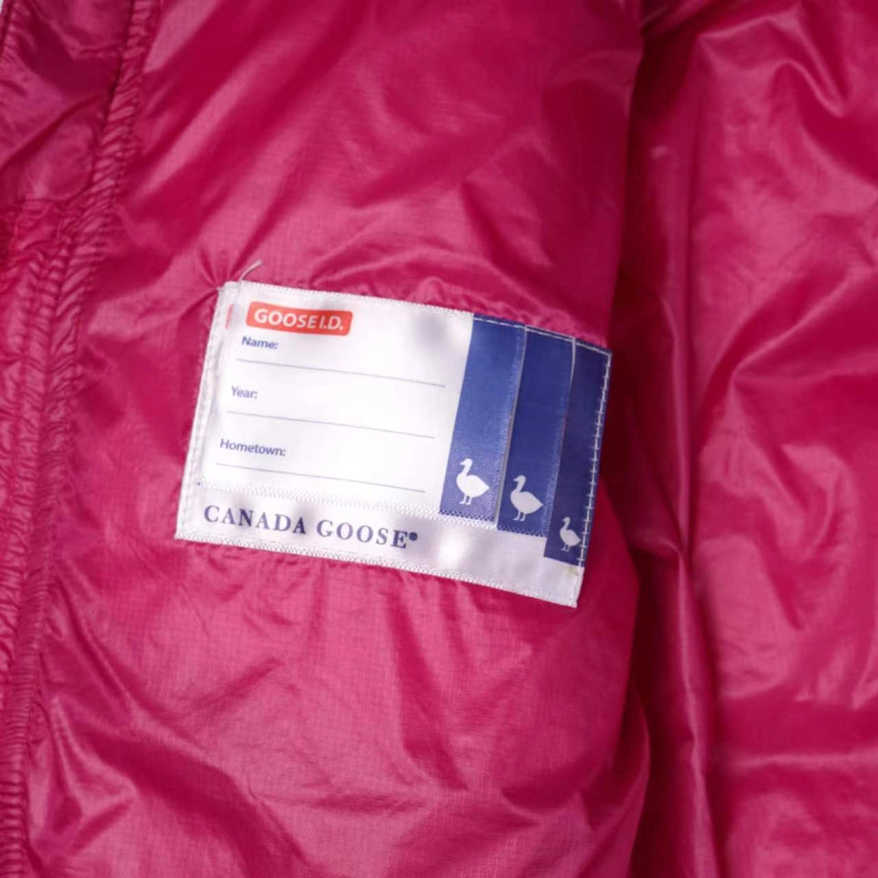UrbanChic Canada Goose Down Jackets 106421