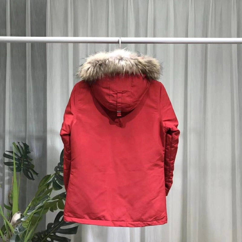 Canada Goose Down Jackets Cozy 106375