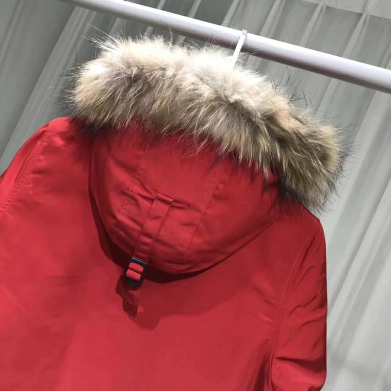 Canada Goose Down Jackets Cozy 106375