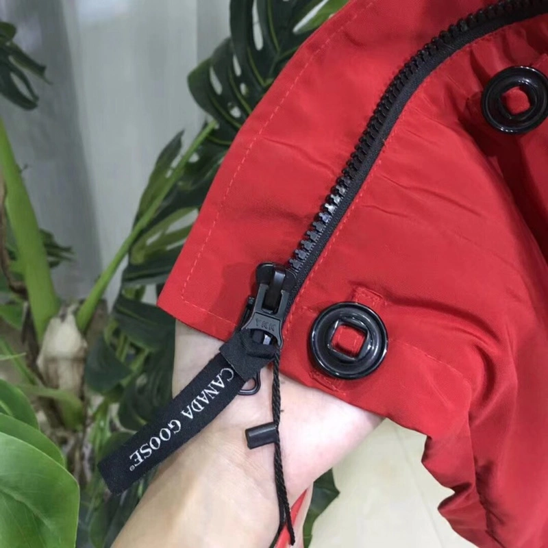 Canada Goose Down Jackets Cozy 106375