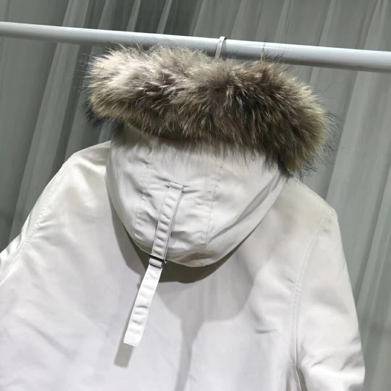 SportInspired Canada Goose Down Jackets 106371