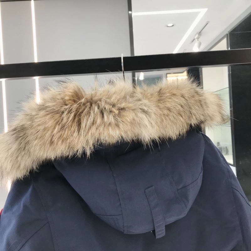 Canada Goose Down Jackets Sophisticated 106302