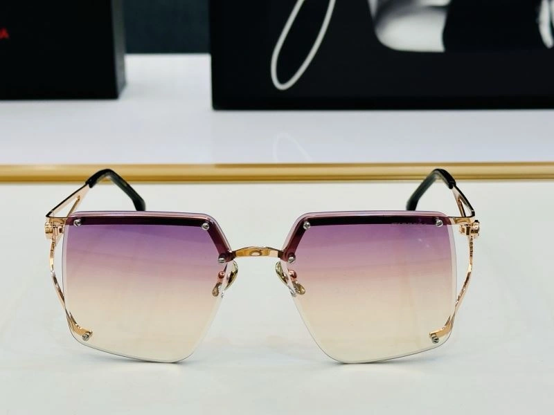 Practical Carrera Sunglasses 277337