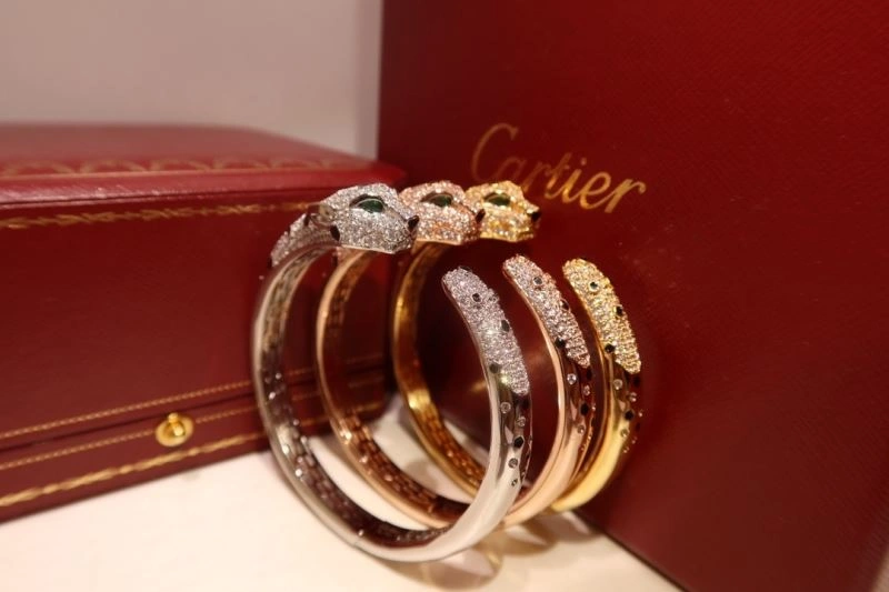 Vibrant Cartier Bracelets 217729