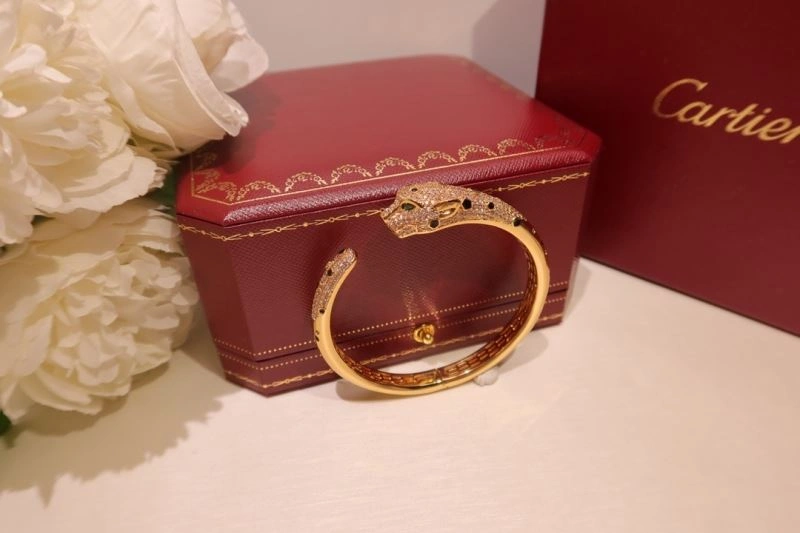 Vibrant Cartier Bracelets 217729