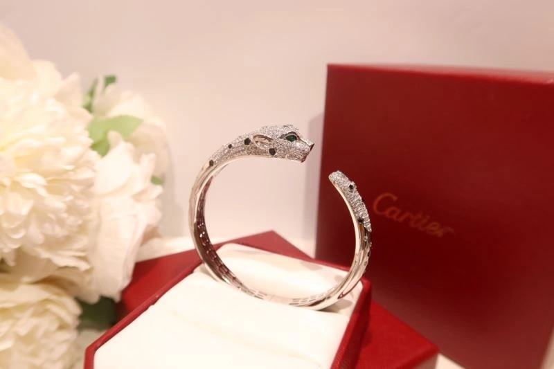 Vibrant Cartier Bracelets 217729