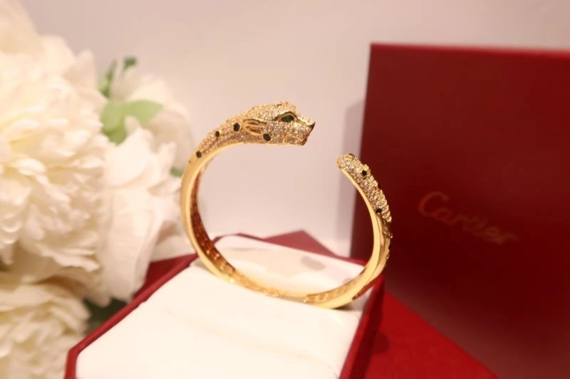 Vibrant Cartier Bracelets 217729