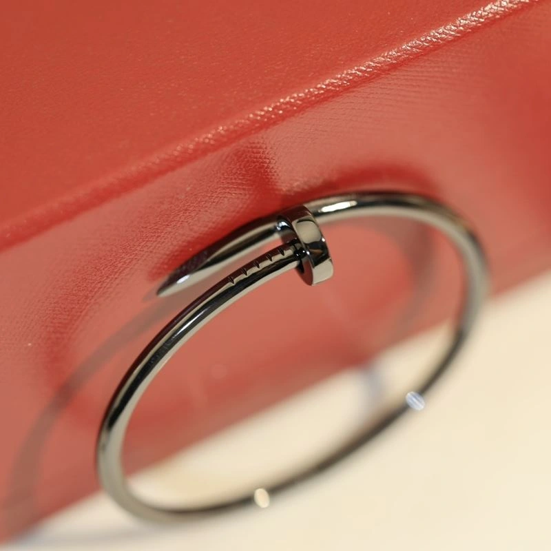 FastDry Cartier Bracelets 217786