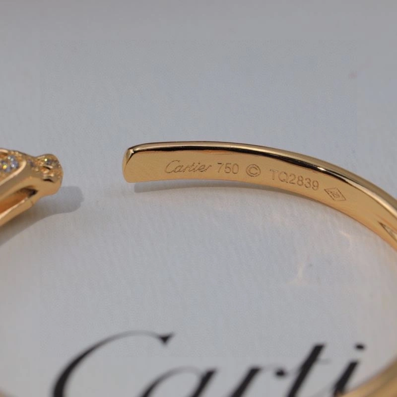 Youthful Cartier Bracelets 217725