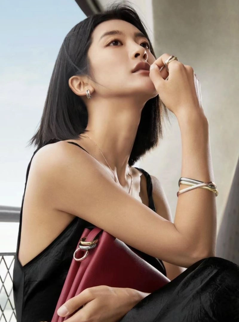 SmartChoice Cartier Bracelets 217683