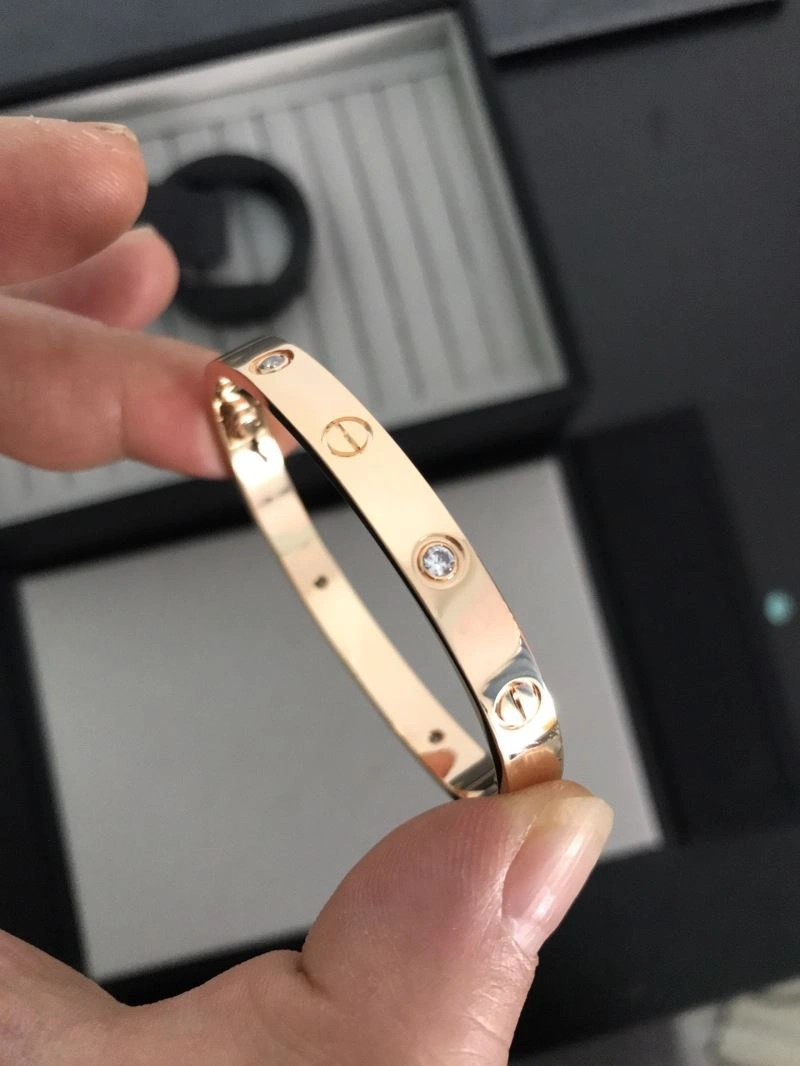 Cartier Bracelets Sporty 217693