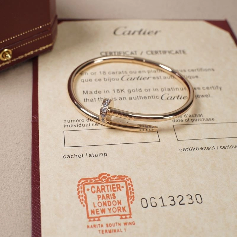 Vibrant Cartier Bracelets 217810