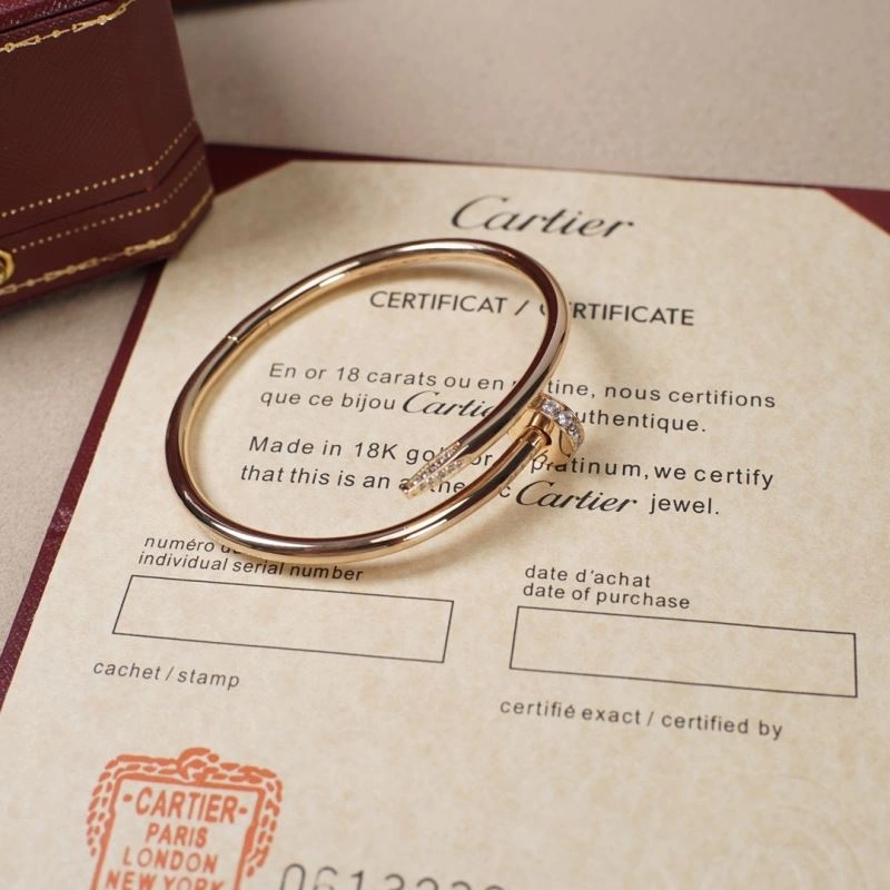 Vibrant Cartier Bracelets 217810