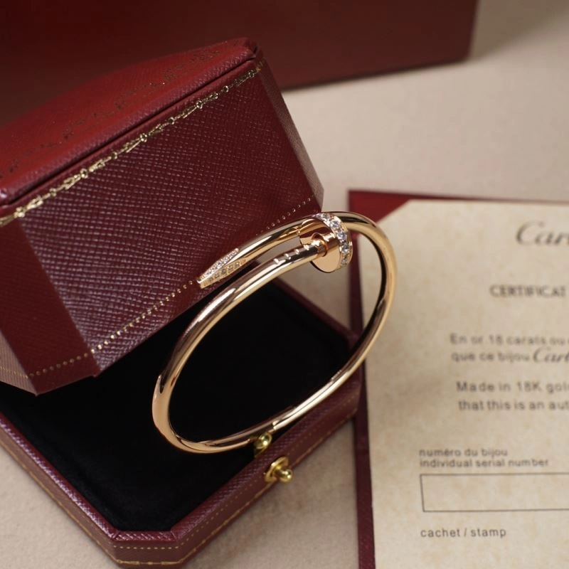 Vibrant Cartier Bracelets 217810