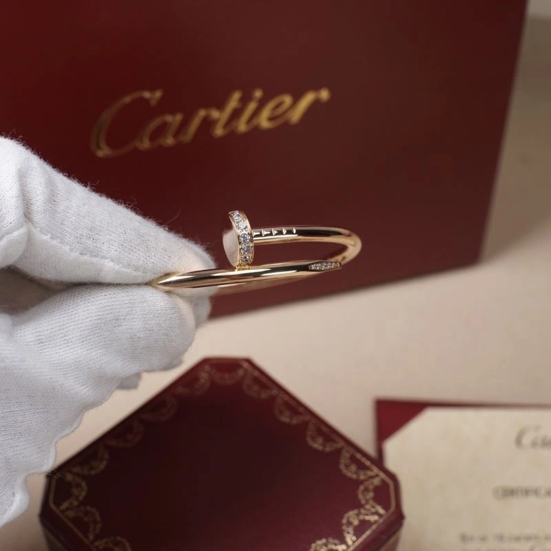Vibrant Cartier Bracelets 217810