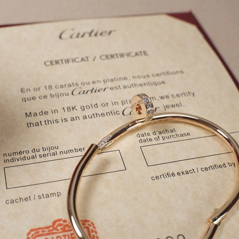 Vibrant Cartier Bracelets 217810