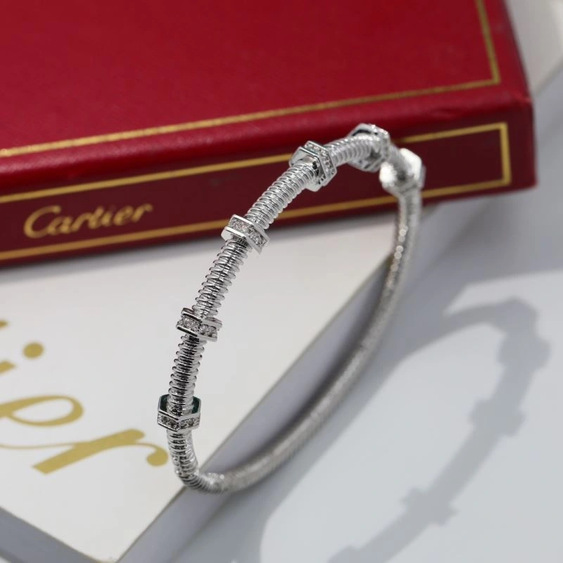 Cartier Bracelets Sporty 217796