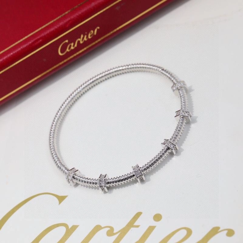 Cartier Bracelets Sporty 217796