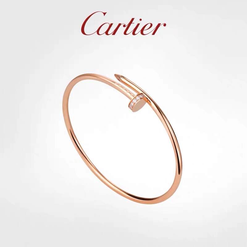 Cartier Bracelets Soft 217657