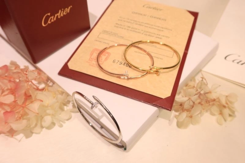 Cartier Bracelets Soft 217657