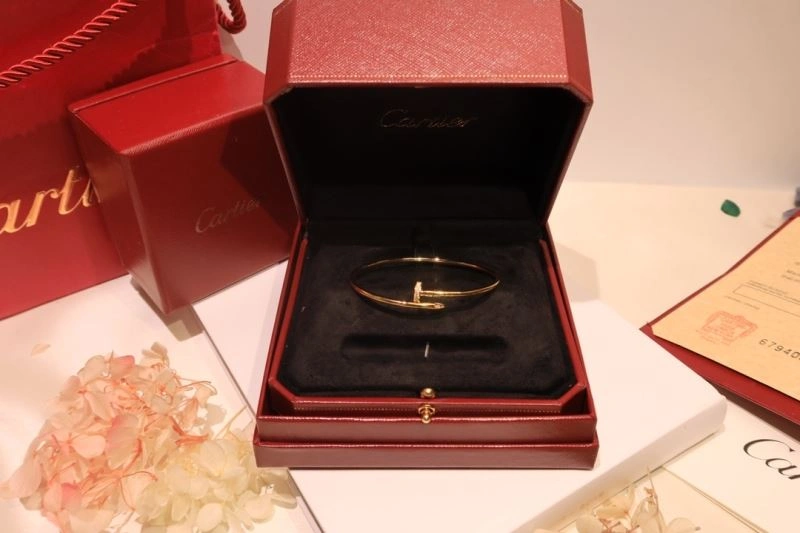 Cartier Bracelets Soft 217657
