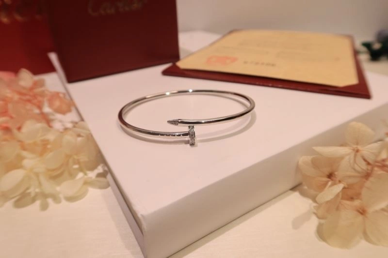 Cartier Bracelets Soft 217657
