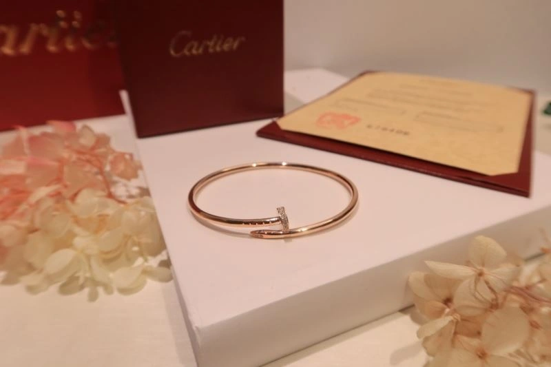 Cartier Bracelets Soft 217657