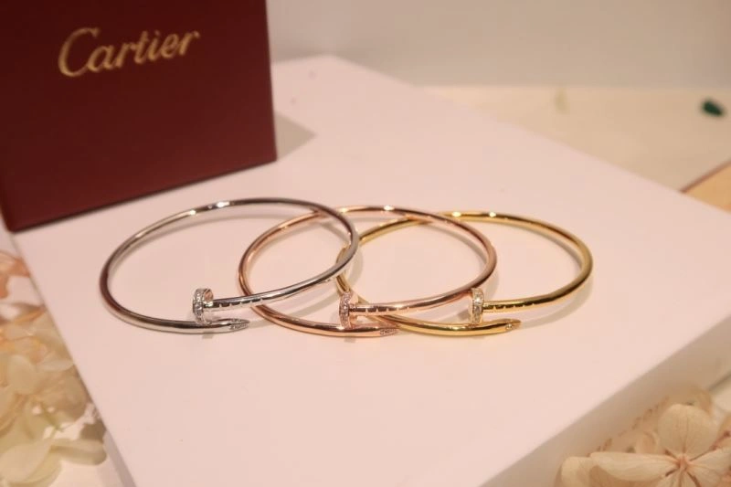 Cartier Bracelets Soft 217657